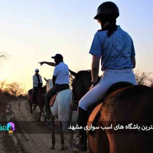 ۶ تا از بهترین باشگاه های اسب سواری مشهد