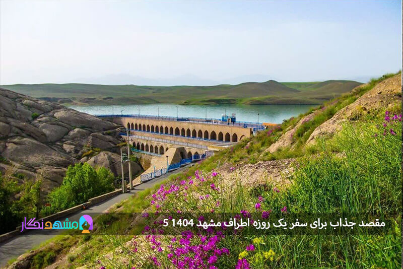 تربت جام: شهر باغها و خانقاهها