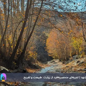 برنامه سفر ۴ روزه به مشهد | تجربه‌ای منحصربه‌فرد از زیارت، طبیعت و تفریح